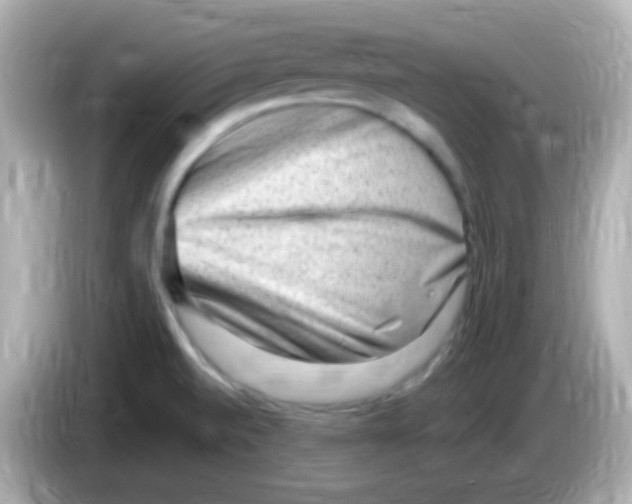 X0000085801520200704091439