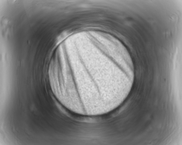 X0000085801521200704091439