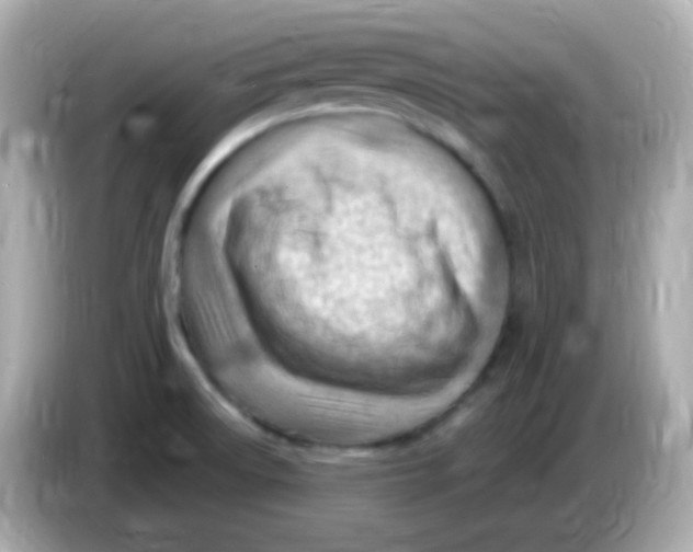 X0000085801522200704091439