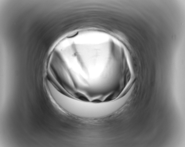 X0000085801524200704091439