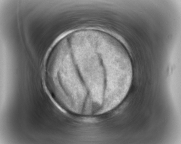 X0000085801525200704091439