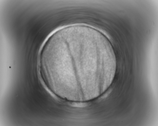 X0000085801526200704091439