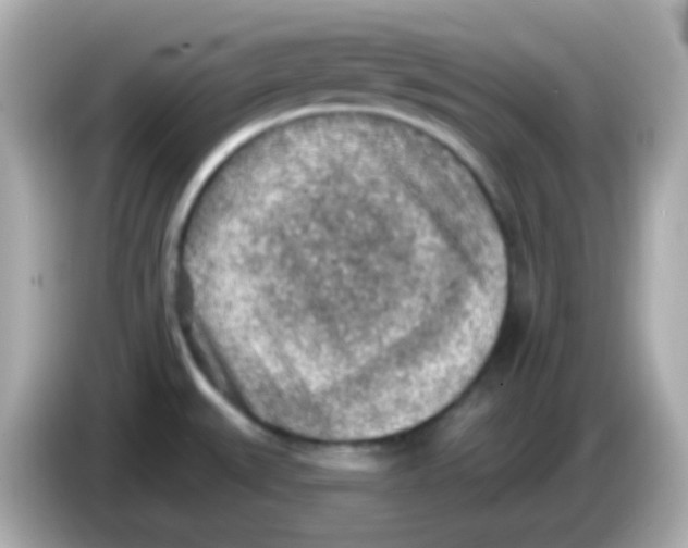 X0000085801527200704091439