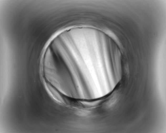 X0000085801528200704091439