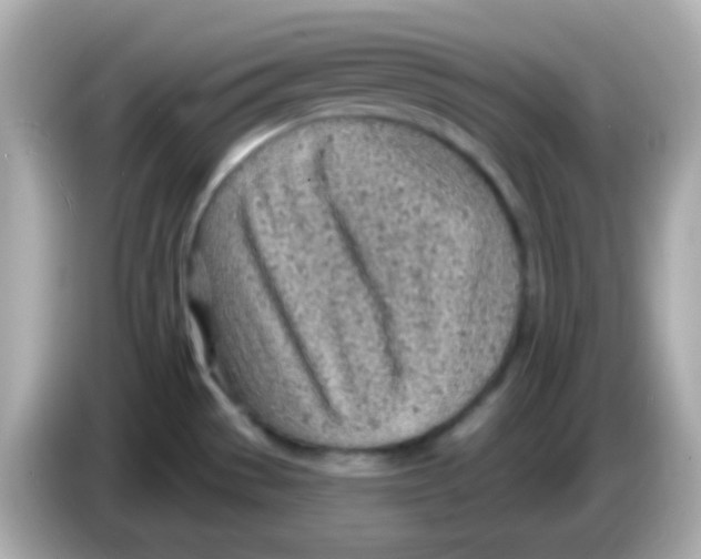 X0000085801529200704091439