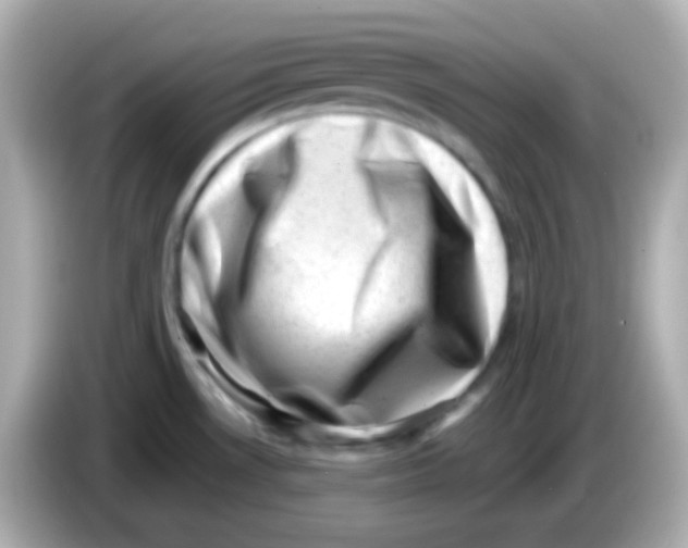 X0000085801530200704091439