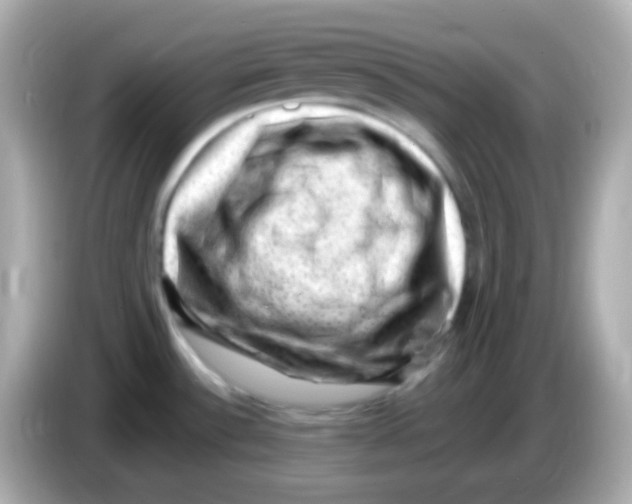 X0000085801532200704091439