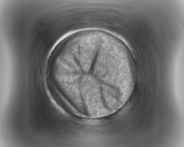 X0000085801534200704091439