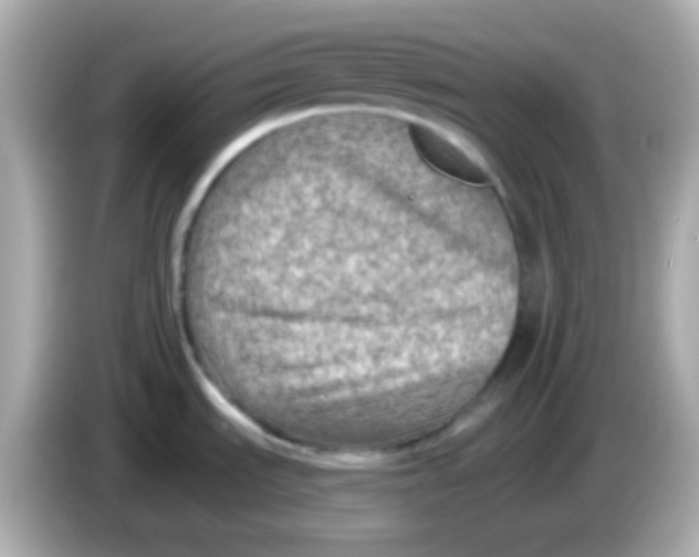 X0000085801535200704091439