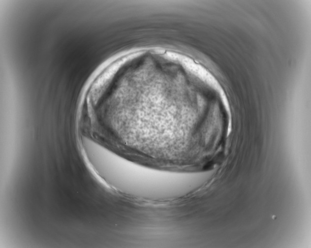 X0000085801536200704091439