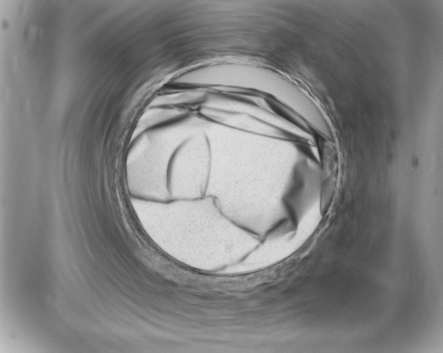 X0000085800001200704131933