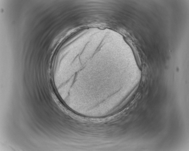 X0000085800002200704131933