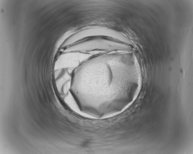 X0000085800003200704131933