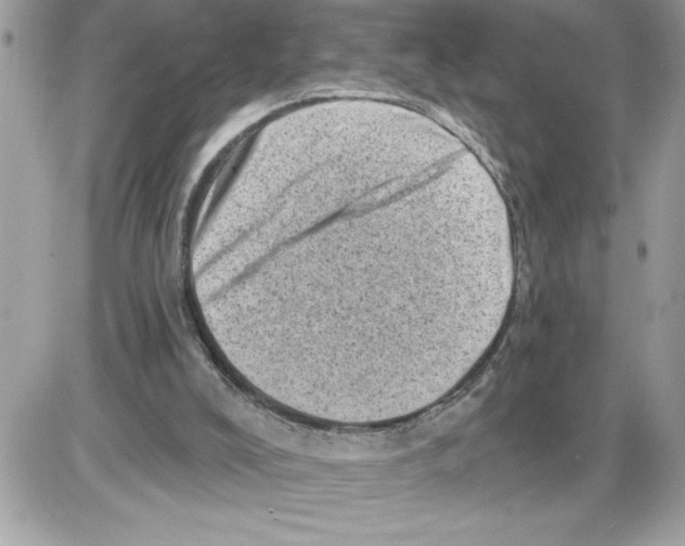 X0000085800008200704131933