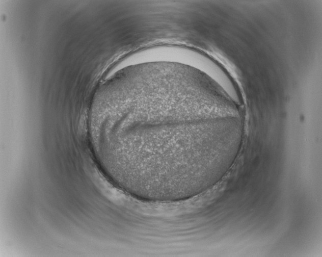 X0000085800009200704131933