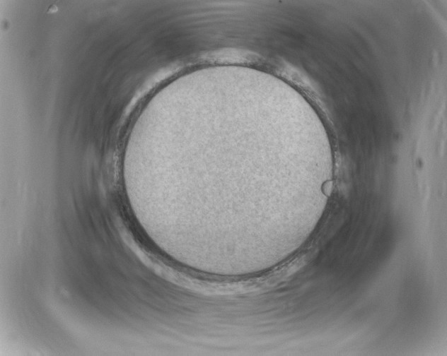 X0000085800012200704131933