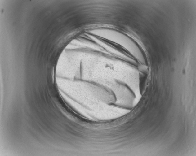 X0000085800013200704131933