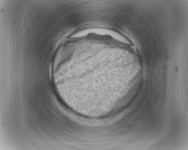 X0000085800014200704131933