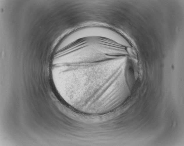 X0000085800015200704131932