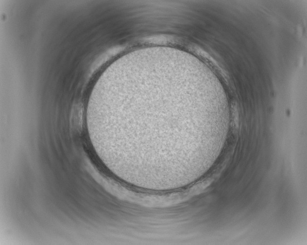 X0000085800016200704131932