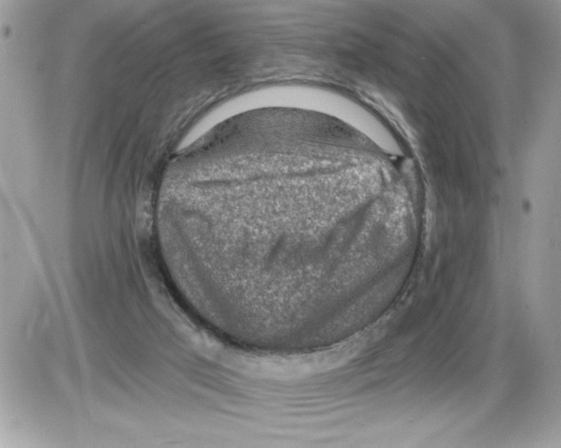 X0000085800017200704131932