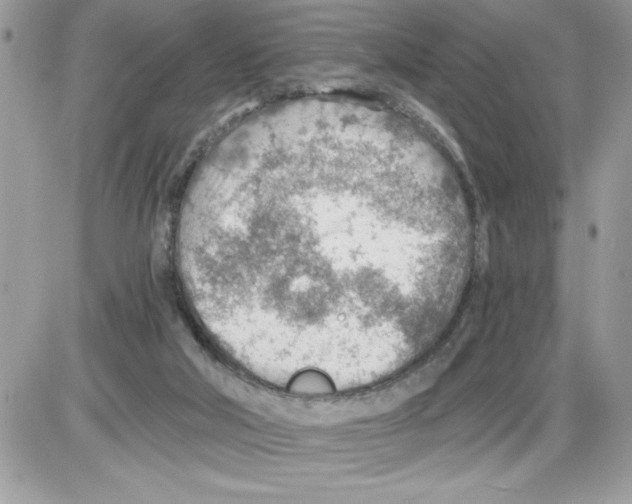 X0000085800018200704131932