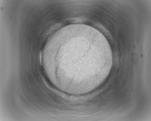 X0000085800022200704131932