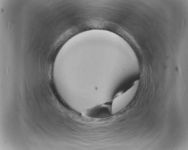 X0000085800023200704131932