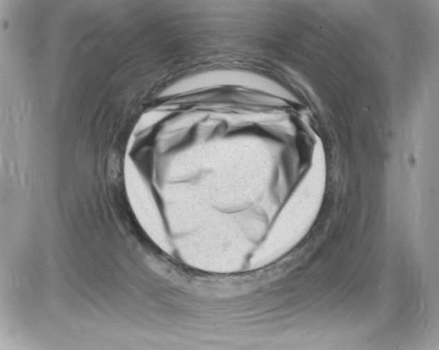 X0000085800025200704131932