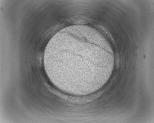 X0000085800026200704131932