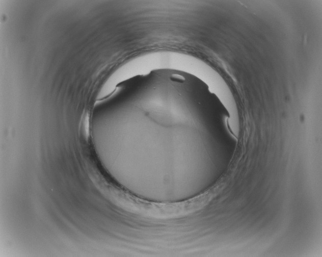 X0000085800027200704131932