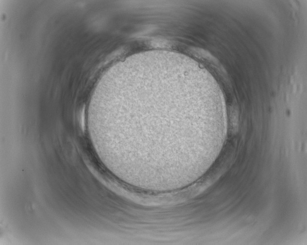 X0000085800028200704131932