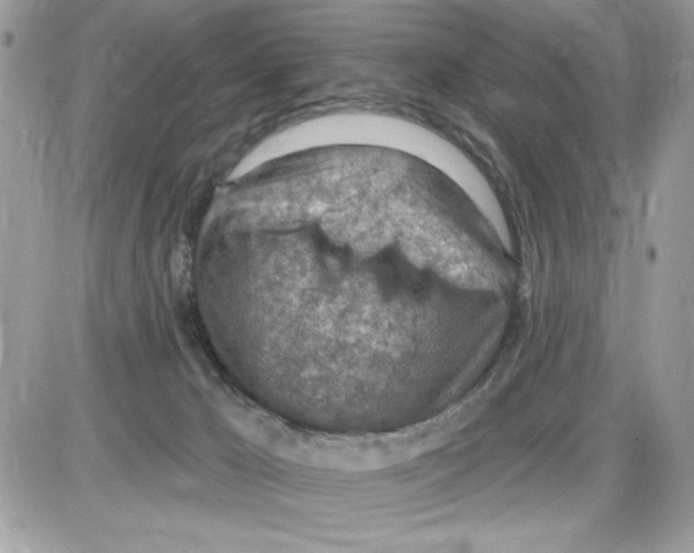 X0000085800029200704131932