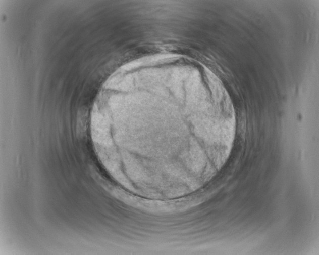 X0000085800030200704131932