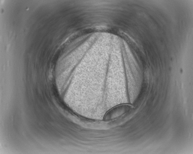 X0000085800032200704131932