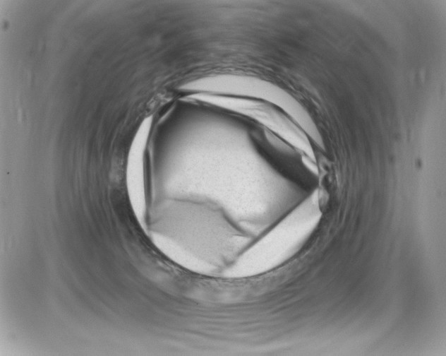 X0000085800033200704131932