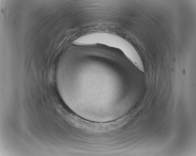 X0000085800035200704131932