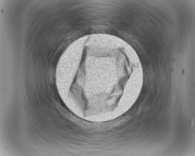 X0000085800038200704131932