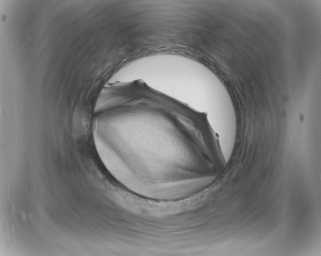 X0000085800039200704131932