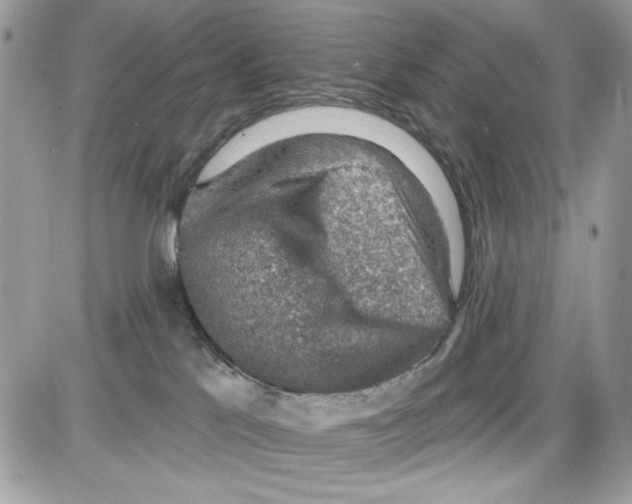 X0000085800041200704131932