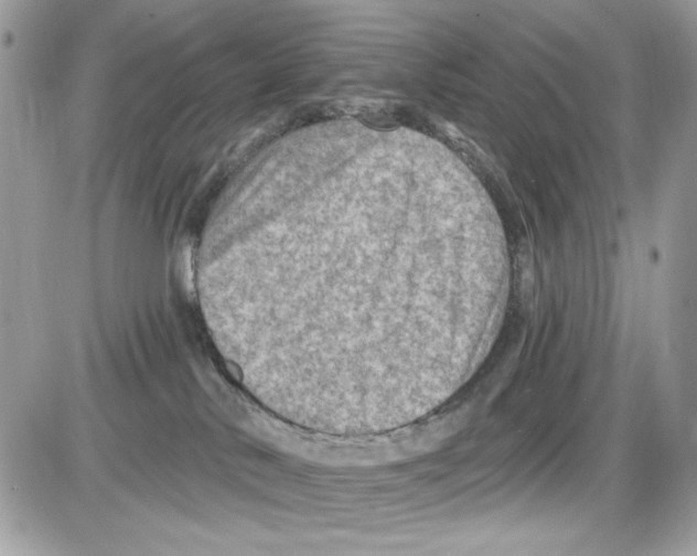 X0000085800042200704131932