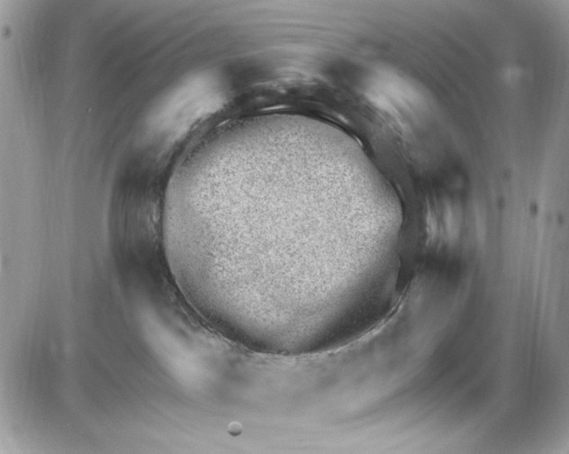 X0000085800045200704131932