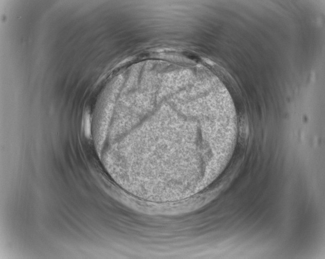 X0000085800046200704131932