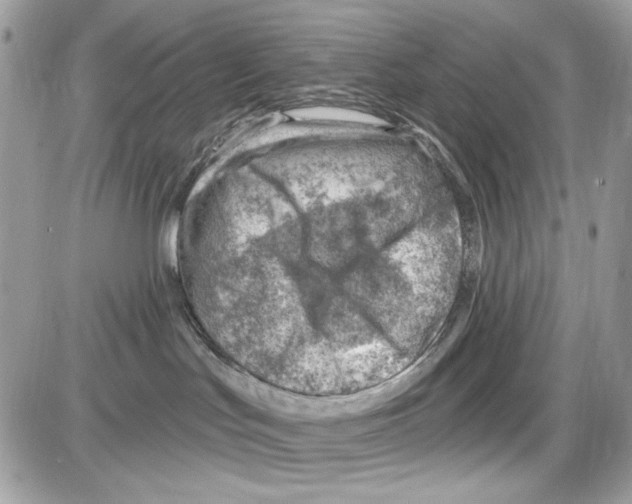 X0000085800047200704131932