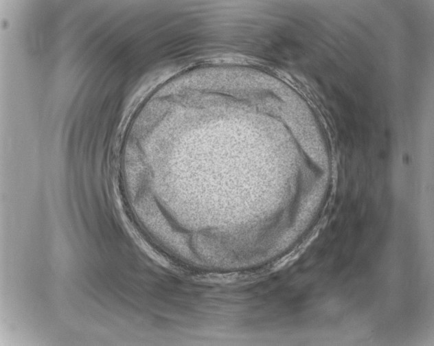 X0000085800049200704131931