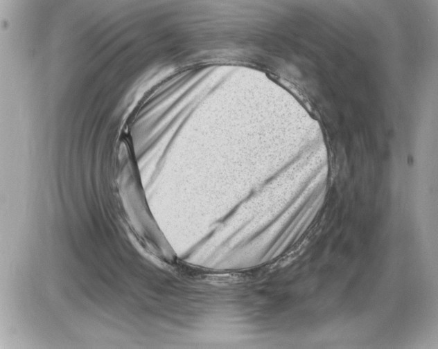 X0000085800050200704131931