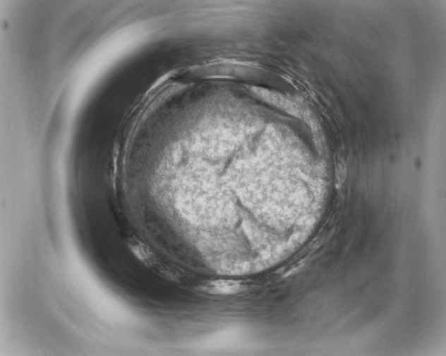 X0000085800052200704131931