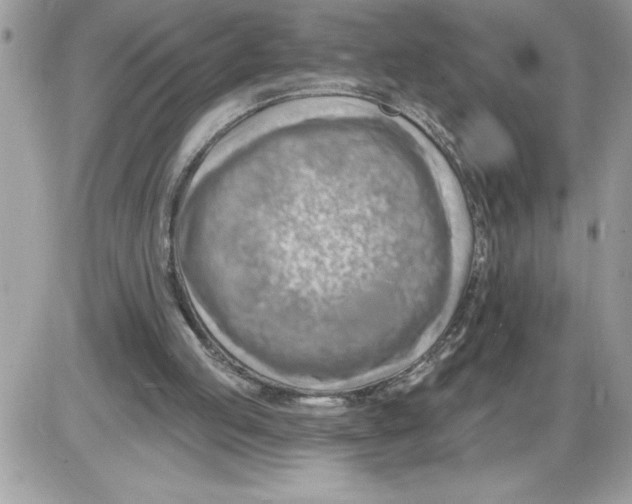 X0000085800053200704131931