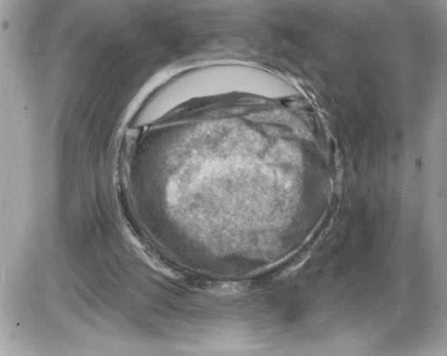 X0000085800056200704131931