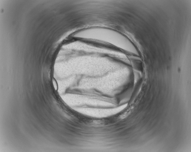 X0000085800060200704131931